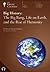 Big History: The Big Bang, Life On Earth, And The Rise Of Humanity