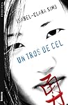 Un tros de cel by Isabel-Clara Simó