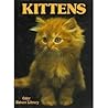 Kittens by David Gibbon