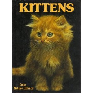 Kittens (Hardcover)