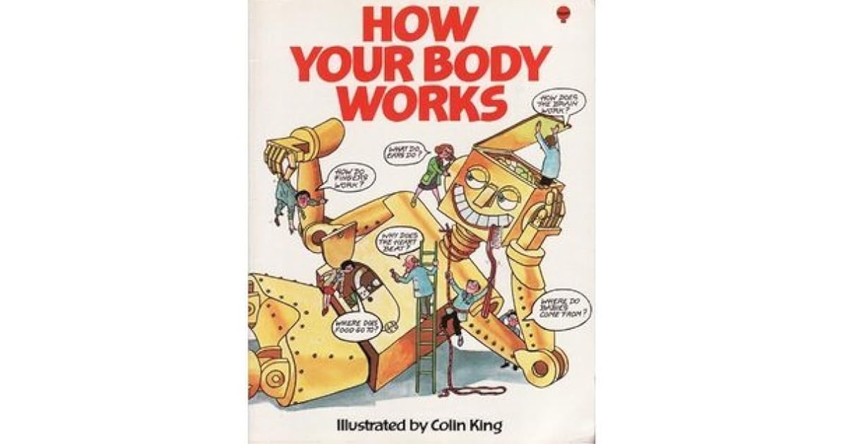 How Your Body Works by Judy Hindley
