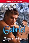 Gabriel (Marius Brothers #7) Gabriel (Marius Brothers #7)