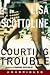 Courting Trouble (Rosato and Associates #7)