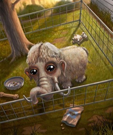 Shirley Temple Three