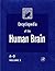 Encyclopedia of the Human Brain