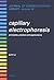 Capillary Electrophoresis: Principles, Practice and Applications