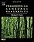 Programming Language Pragmatics