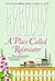 A Place Called Rainwater (Jazz Age, #3)