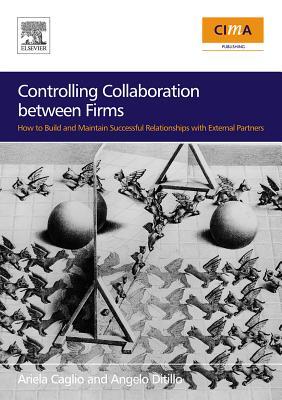 Controlling Collaboration Between Firms: How to Build and Maintain Successful Relationships with External Partners (Kindle Edition)