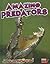 Amazing Predators (Animal SuperPowers: Read Me!)