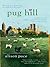 Pug Hill by Alison Pace