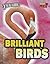 Brilliant Birds (Extreme Animals)