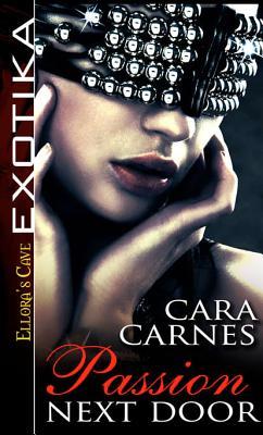 Passion Next Door (The Pleasure Brigade, #1)