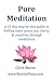 Pure Meditation by Chris Burns