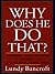 Why Does He Do That? Inside the Minds of Angry and Controlling Men