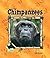 Chimpanzees