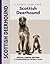 Scottish Deerhound