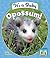 It's a Baby Opossum!