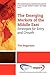 The Emerging Markets of the Middle East: Strategies for Entry and Growth (International Business Collection)