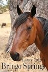 Bringo Springs by Laney Cairo