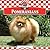 Pomeranians