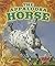 The Appaloosa Horse