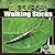 Walking Sticks