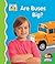 Are Buses Big?