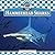 Hammerhead Sharks