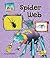 Spider Web