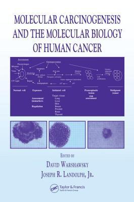 Molecular Carcinogenesis and the Molecular Biology of Human Cancer (Hardcover)