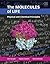 The Molecules of Life: Phys...