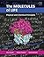 The Molecules of Life by John Kuriyan