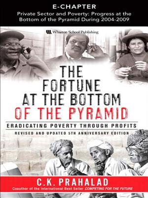 Private Sector and Poverty: Progress at the Bottom of the Pyramid During 2004-2009