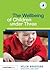 The Wellbeing of Children under Three (Supporting Children from Birth to Three)