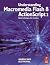 Understanding Macromedia Fl...