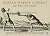 Italian Rapier Combat: Capo Ferro's 'Gran Simulacro'