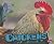 Chickens (Farm Animals)