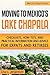 Moving to Mexico's Lake Chapala: Checklists, How-Tos, and Practical Information and Advice for Expats and Retirees