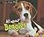 All about Beagles (Pebble Plus: Dogs, Dogs, Dogs)