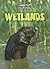 Wetlands (Habitat Survival: Raintree Perspectives, Level P)