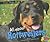 All about Rottweilers (Pebble Plus; Dogs, Dogs, Dogs)
