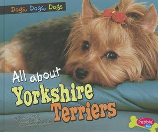All about Yorkshire Terriers (Dogs, Dogs, Dogs)
