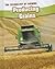 Producing Grains (The Technology of Farming)