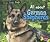All about German Shepherds (Pebble Plus; Dogs, Dogs, Dogs)