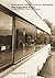 The Tugendhat House: Ludwig Mies Van Der Rohe