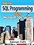 Beginner SQL Programming Us...