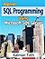 Beginner SQL Programming Using Microsoft SQL Server
