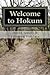 Welcome to Hokum by David M. Jewell
