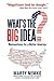 What's the Big Idea? by Marty Nemko